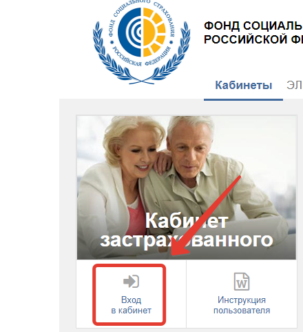 lichnyj-kabinet-fss%20%282%29.png